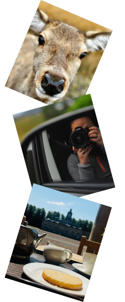 Home 1 Untitled design 16