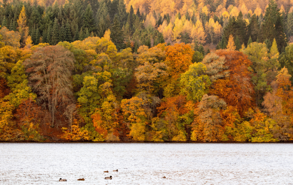 Autumn_Colours_Scotland
